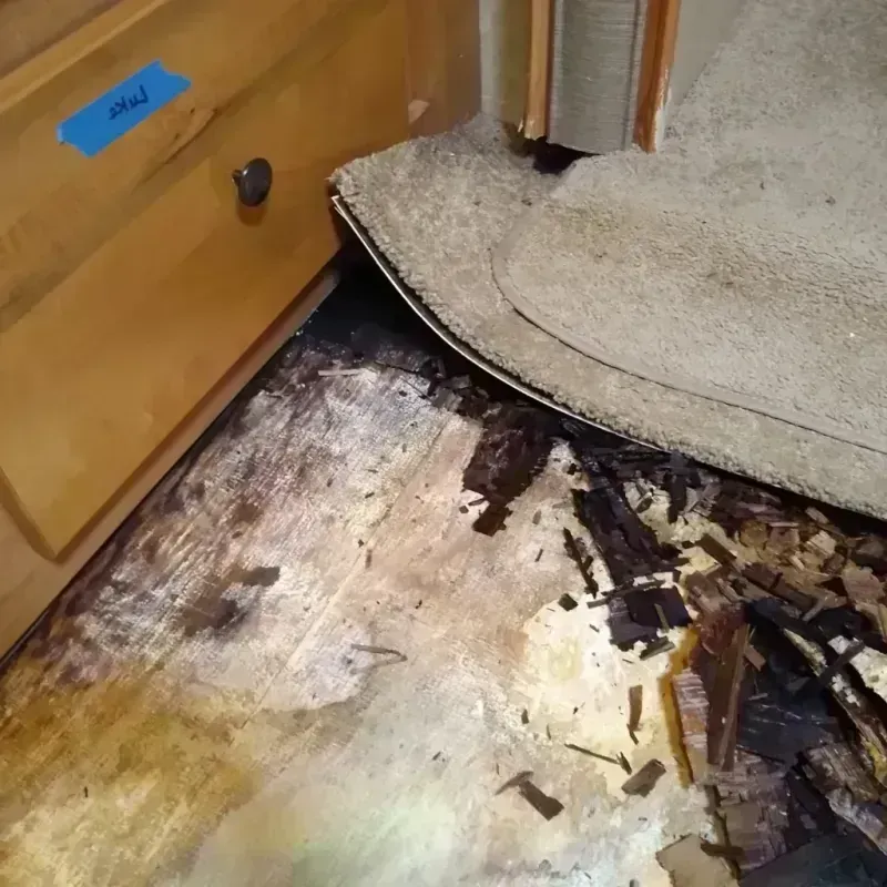 Wood Floor Water Damage in Douglas County, CO